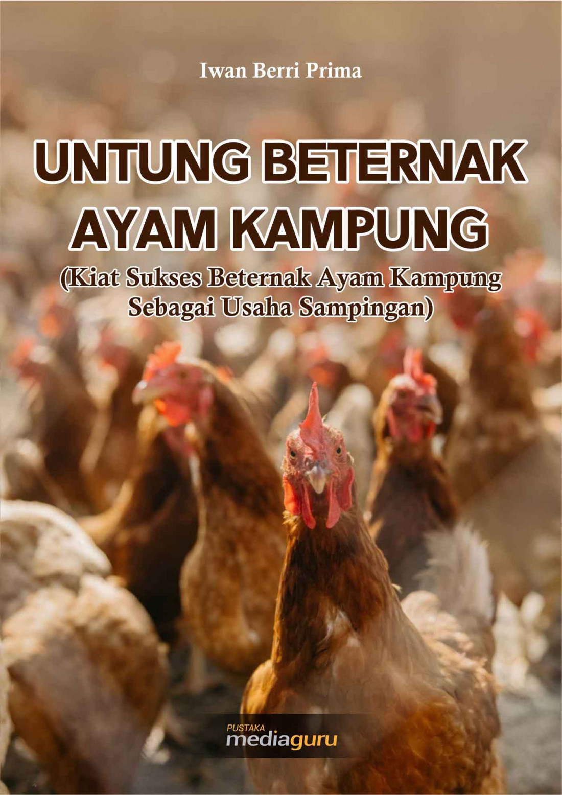 UNTUNG BETERNAK AYAM KAMPUNG (Kiat Sukses Beternak Ayam Kampung Sebagai Usaha Sampingan)